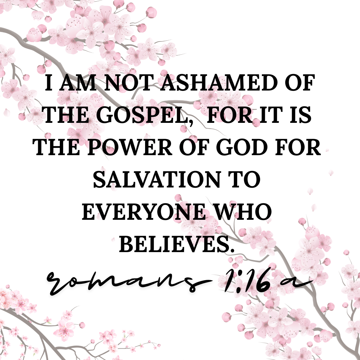 Romans 1:16 Sticker